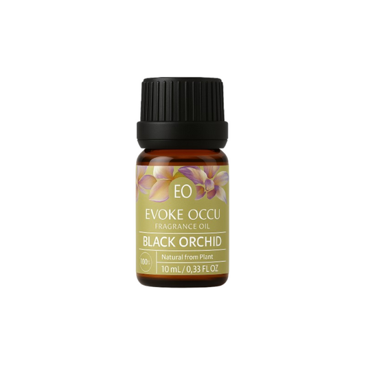 Evoke Occu - Orchidée de minuit